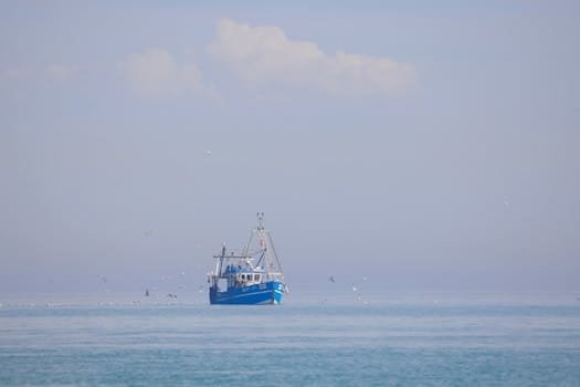 Angajări Capitani Vase și Echipaj Maritim 2026: Ghidul Complet pentru Joburi Offshore și Tehnicieni Nave 4 A serene seascape featuring a solitary fishing boat surrounded by seagulls under a clear blue sky.