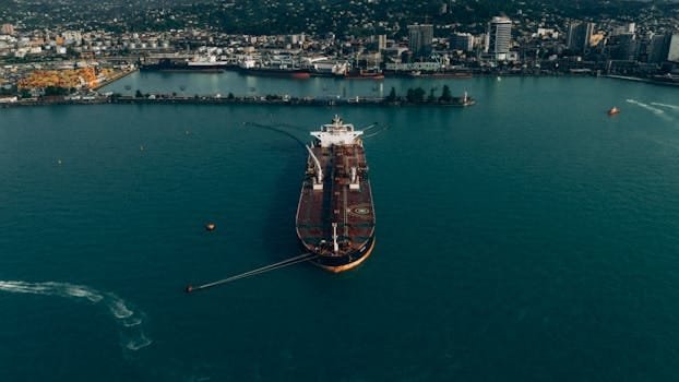 Joburi pe Vas de Croazieră vs. Locuri de Muncă Portuare în 2026: Care Ofertă Maritimă e Mai Bună Pentru Tine? 3 A cargo ship docked in Batumi port with a vibrant cityscape in the background.