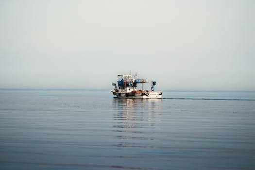 Joburi pe Vas de Croazieră vs. Locuri de Muncă Portuare în 2026: Care Ofertă Maritimă e Mai Bună Pentru Tine? 4 A lone fishing boat navigating calm seas, epitomizing tranquility and maritime life.
