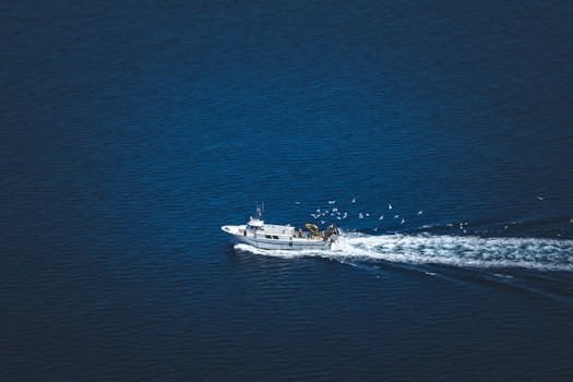 Cum să navighezi cu succes în cariera de ofițer de punte: ghid complet 4 Aerial view of a fishing boat in the open sea surrounded by seagulls during the day.