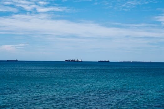 Joburi Maritime vs. Cariere Offshore: Ghidul Comparativ pentru Decizia Ta! 2 Multiple cargo ships floating calmly on the open sea under a clear blue sky.