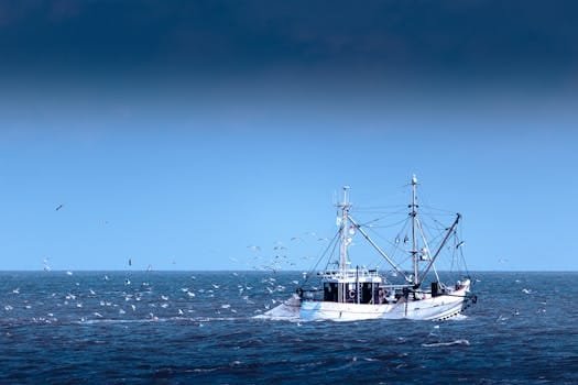 Analiza Beneficiilor Contractelor Internaționale pentru Marinari Români 3 A fishing boat surrounded by seagulls on the North Sea near Büsum, Germany.