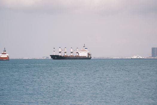 Cum să Alegi Între Crewing și Freelancing în Joburile Maritime și Impactul Asupra Salariilor 3 A cargo ship sails in Izmir Bay with city skyline in the background, captured on a clear day.