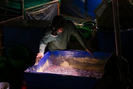 Cum să Obții un Contract de Muncă în Regim Ro-Ro ca Ofițer Punte Debutant 3 A fisherman sorts fish in ice under light in a dark boat at night.