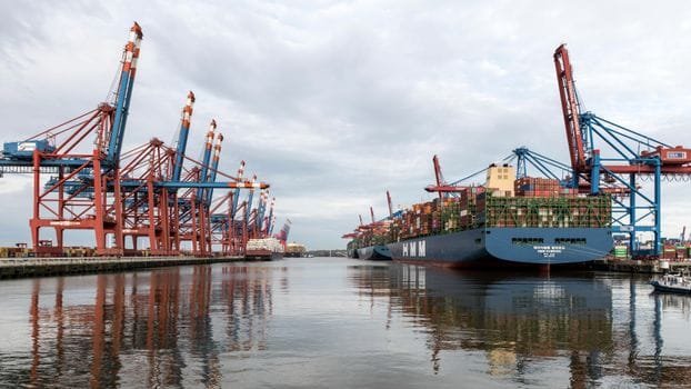Pași pentru Alegerea între Pozițiile de Ofițer Punte și Mașină: Salarii și Certificări 3 Large cargo ships and cranes at the busy Hamburg harbor. Ideal for industry and shipping content.
