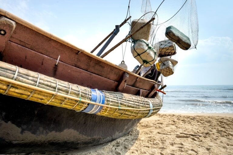 Ce Certificări sunt Esențiale pentru Marinarii Români care Caută Contracte de Navigație pe Timp de Vară 2026? 34 Ce Certificari sunt Esentiale featured