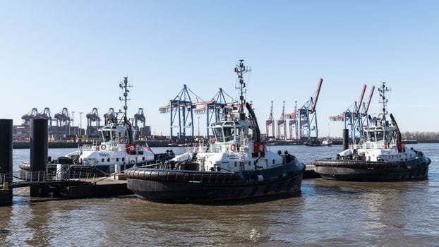 Tugboats moored at Hamburg harbor with a backdrop of cranes on a sunny day.