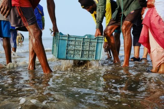 Ce certificări trebuie să ai pentru a accesa joburi prin 'jobs and sea' în România? 3 Fishermen carrying a blue crate through the shallow waters of Cox's Bazar, Bangladesh.